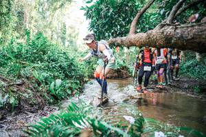 BIB: 
                            <button type="button" onclick="openModal(25514975)" class="btn btn-primary btn-sm float-right btn-popup" data-toggle="modal" data-target=".modal-high-quality">
                        <i class="fas fa-shopping-cart"></i> Add to Cart
                    </button>
                                            <button type="button" onclick="isThisMe(25514975, true)" class="btn btn-success btn-sm float-right btn-popup btn-isme hidden" data-toggle="tooltip" data-placement="bottom" title="นี่คือรูปของคุณใช่ไหม คลิกที่นี่เพื่อเอาเข้าอัลบั้ม">
                        <i class="fas fa-plus"></i> Add to album
                    </button>
                    <button type="button" onclick="isThisMe(25514975, false)" class="btn btn-warning btn-sm float-right btn-popup btn-isnotme hidden">
                        <i class="fas fa-ban"></i> Remove from album
                    </button>